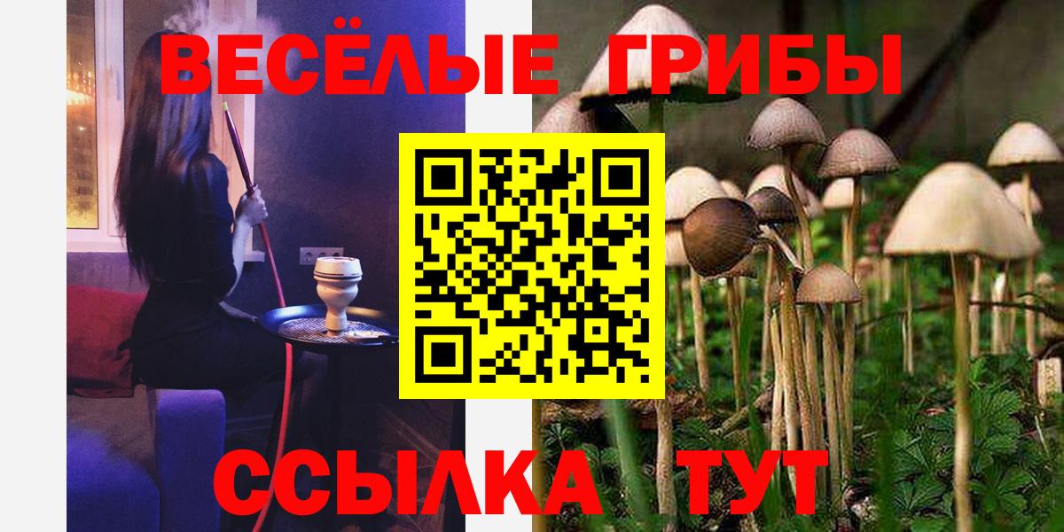 Галлюциногенные грибы мицелий Усолье-Сибирское